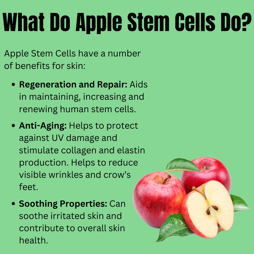 Simply SKN uses ingredients like Apple Stem Cells for their ability to regenerate and repair aging skin cells. Apple Stem Cells also provide soothing properties and call also protect from harmful UV damage and stimulate collagen and elastin production in skin.
