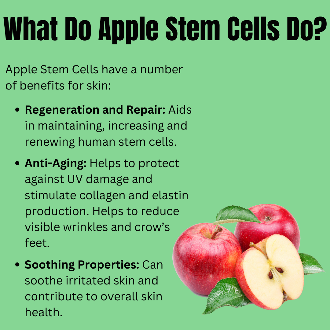 Simply SKN uses ingredients like Apple Stem Cells for their ability to regenerate and repair aging skin cells. Apple Stem Cells also provide soothing properties and call also protect from harmful UV damage and stimulate collagen and elastin production in skin. 